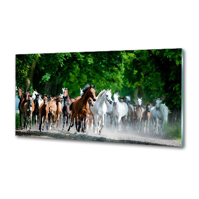 Pannello retrocucina con stampa di cavalli al galoppo