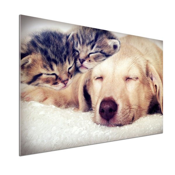 Pannello paraschizzi cucina con stampa di cuccioli e gatti