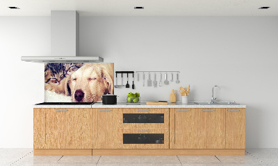 Pannello paraschizzi cucina con stampa di cuccioli e gatti