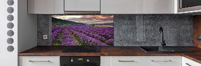 Rivestimento parete cucina con motivo a campo di lavanda