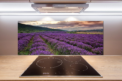 Rivestimento parete cucina con motivo a campo di lavanda