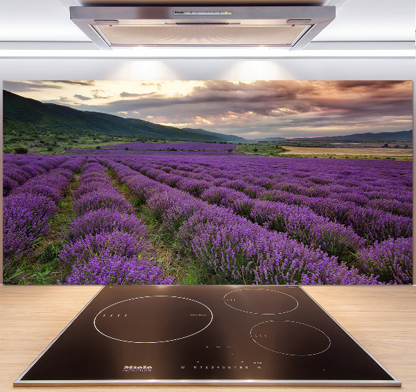 Rivestimento parete cucina con motivo a campo di lavanda