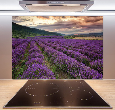 Rivestimento parete cucina con motivo a campo di lavanda