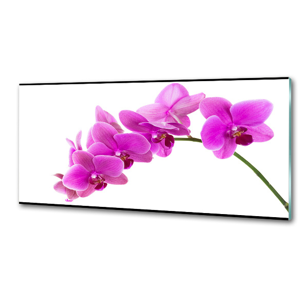 Pannello paraschizzi cucina con motivo orchidea rosa