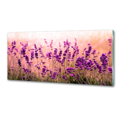 Pannello paraschizzi cucina con decorazione lavanda