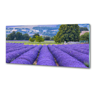 Pannello retrocucina con motivo a campo di lavanda