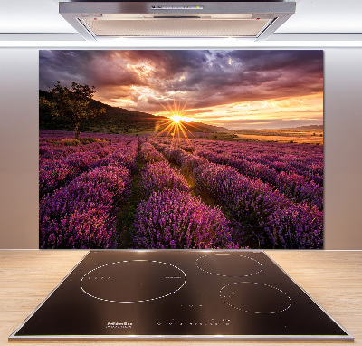 Rivestimento parete cucina con motivo a campo di lavanda