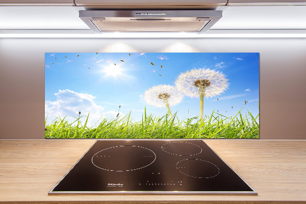 Pannello paraschizzi cucina con motivo a denti di leone