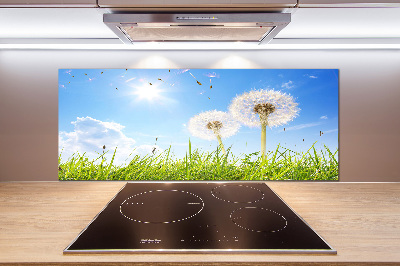 Pannello paraschizzi cucina con motivo a denti di leone