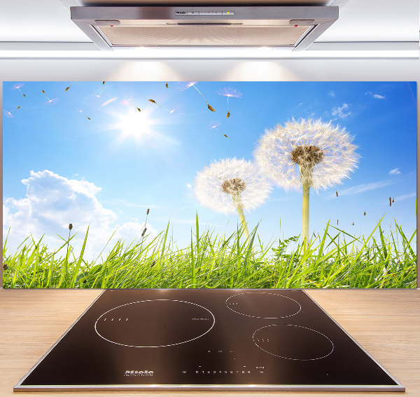 Pannello paraschizzi cucina con motivo a denti di leone