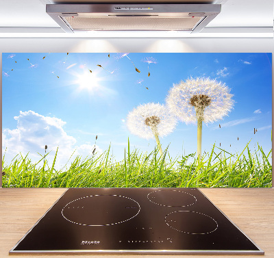 Pannello paraschizzi cucina con motivo a denti di leone