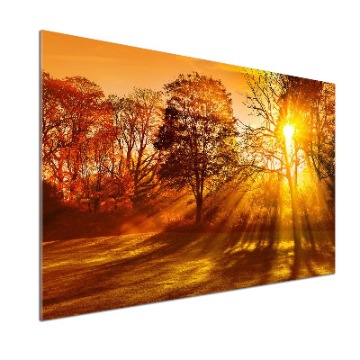 Pannello paraschizzi cucina con motivo Tramonto