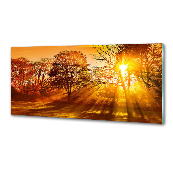 Pannello paraschizzi cucina con motivo Tramonto