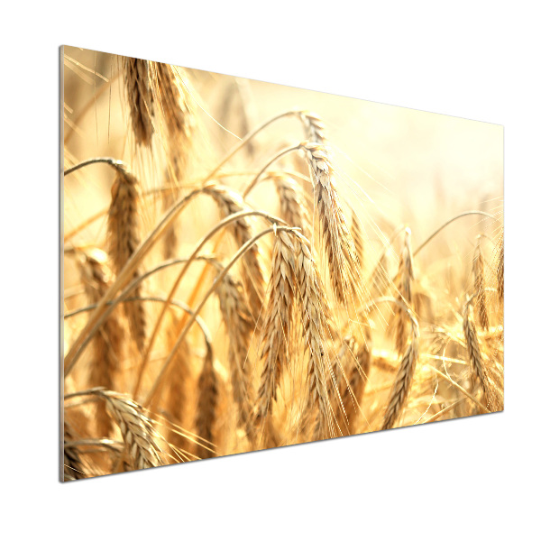 Pannello paraschizzi cucina con motivo caffè