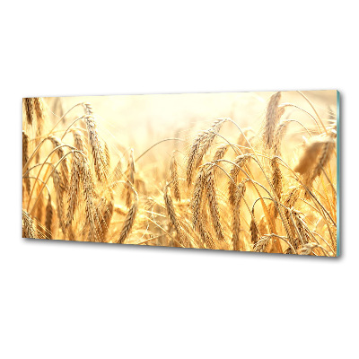 Pannello paraschizzi cucina con motivo caffè