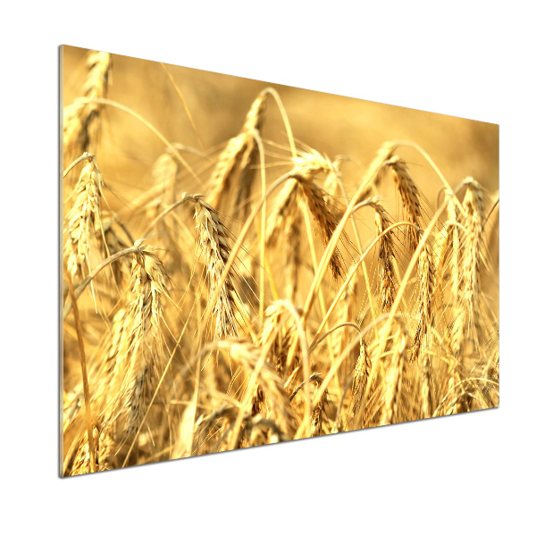 Rivestimento parete cucina in finitura colore caffè