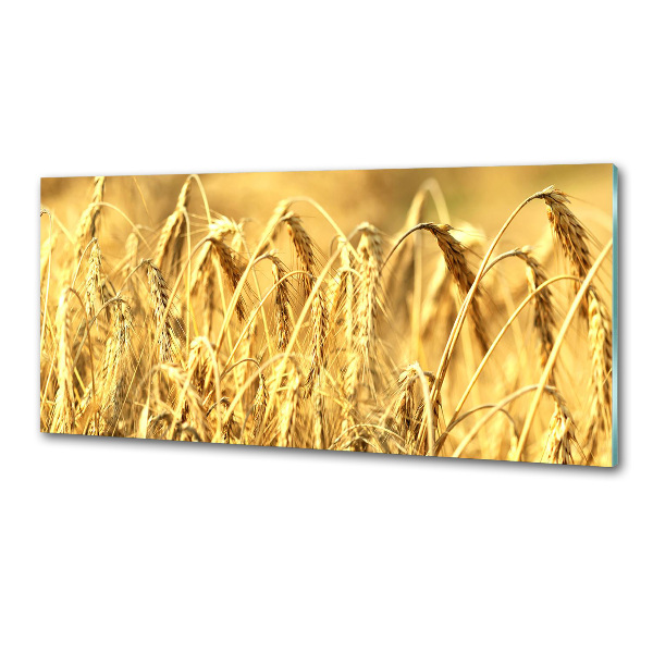 Rivestimento parete cucina in finitura colore caffè