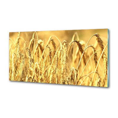 Rivestimento parete cucina in finitura colore caffè