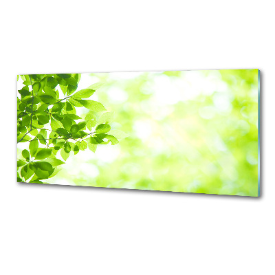 Rivestimento parete cucina con motivo a foglie