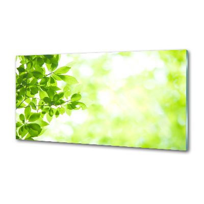 Rivestimento parete cucina con motivo a foglie