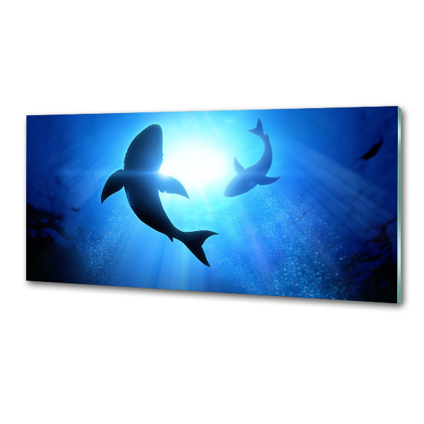 Pannello retrocucina con decoro con due squali