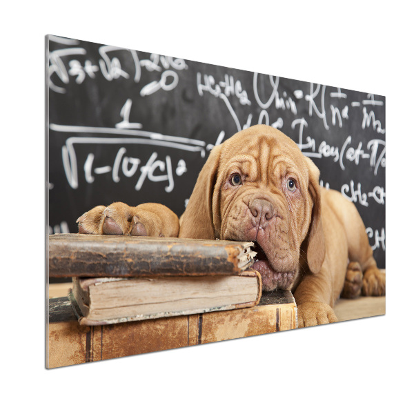 Pannello paraschizzi cucina con stampa raffigurante un cane che morde un libro