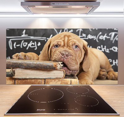 Pannello paraschizzi cucina con stampa raffigurante un cane che morde un libro