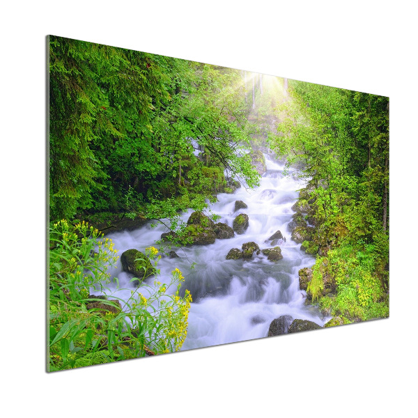 Pannello paraschizzi cucina con stampa 