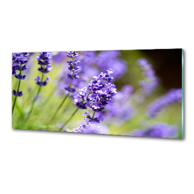 Rivestimento parete cucina con motivo lavanda
