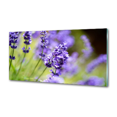 Rivestimento parete cucina con motivo lavanda