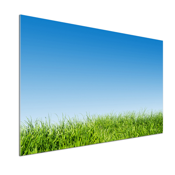 Pannello retrocucina con motivo erba