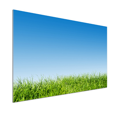 Pannello retrocucina con motivo erba