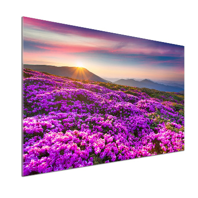 Pannello paraschizzi cucina con decorazione con fiori di montagna