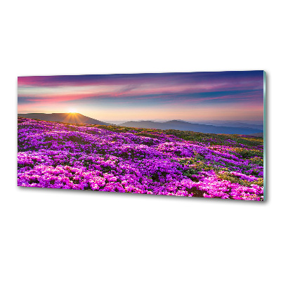 Pannello paraschizzi cucina con decorazione con fiori di montagna