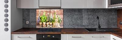 Pannello retrocucina con motivo di erbe aromatiche su un filo