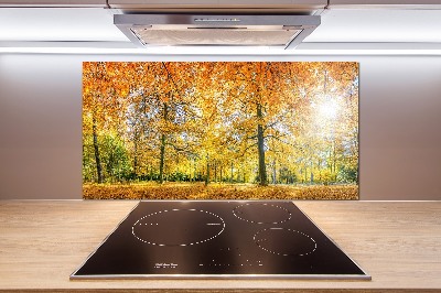 Pannello paraschizzi cucina con motivo 