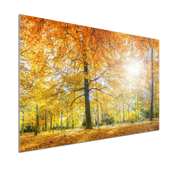 Pannello paraschizzi cucina con motivo 