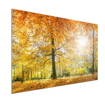 Pannello paraschizzi cucina con motivo 