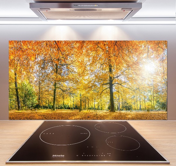 Pannello paraschizzi cucina con motivo 