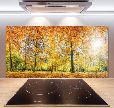 Pannello paraschizzi cucina con motivo 