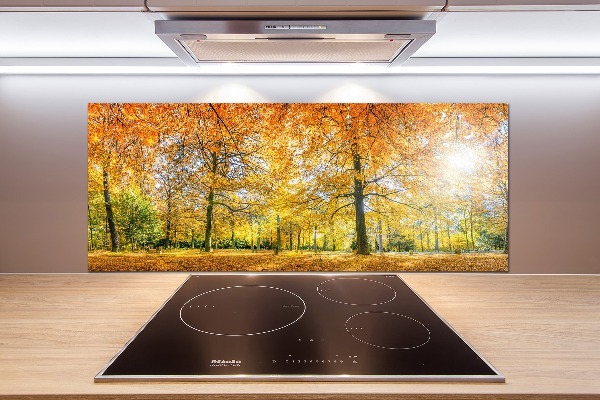 Pannello paraschizzi cucina con motivo 