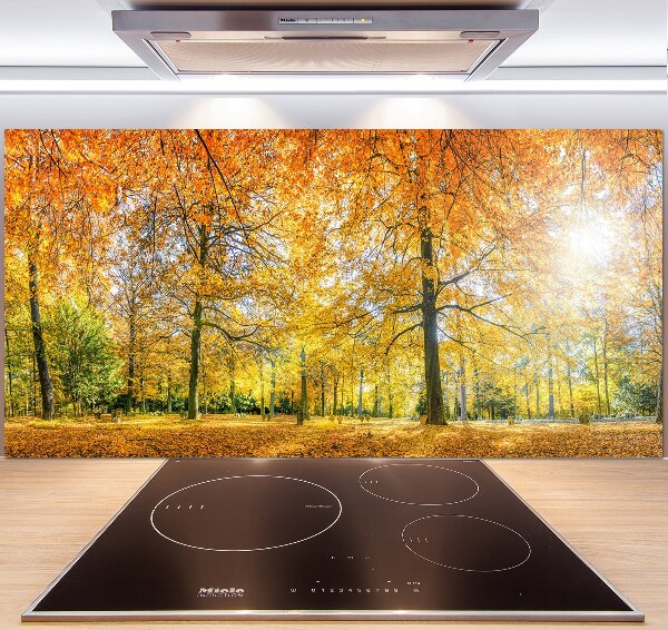 Pannello paraschizzi cucina con motivo 