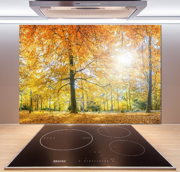 Pannello paraschizzi cucina con motivo 