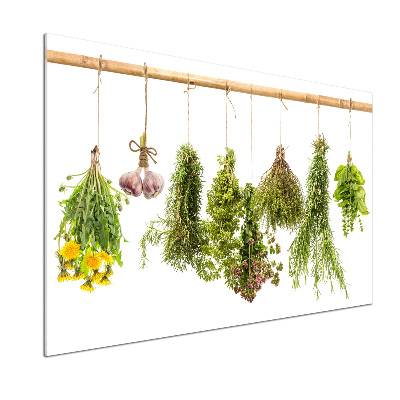 Pannello paraschizzi cucina con motivo di erbe aromatiche disposte su un filo