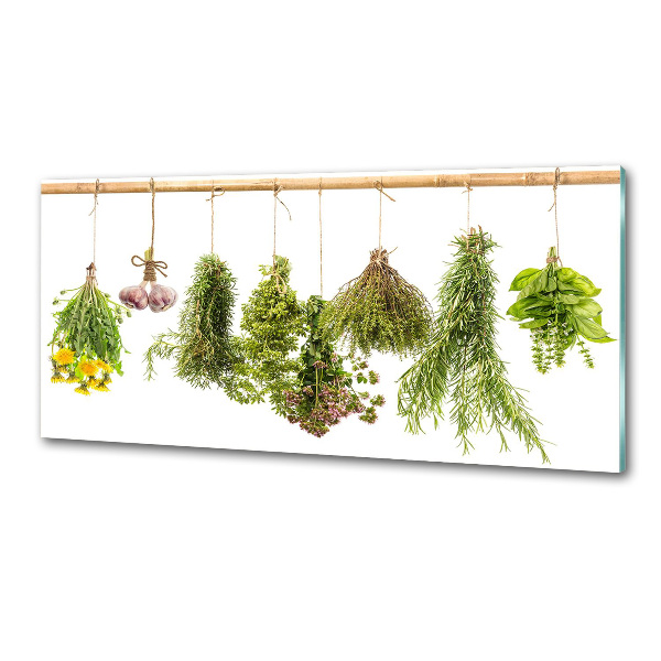 Pannello paraschizzi cucina con motivo di erbe aromatiche disposte su un filo