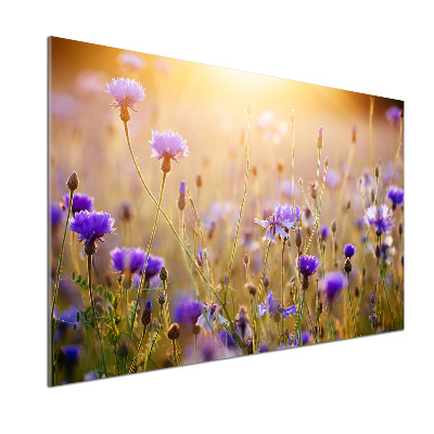 Pannello retrocucina con decorazione a fiori selvatici