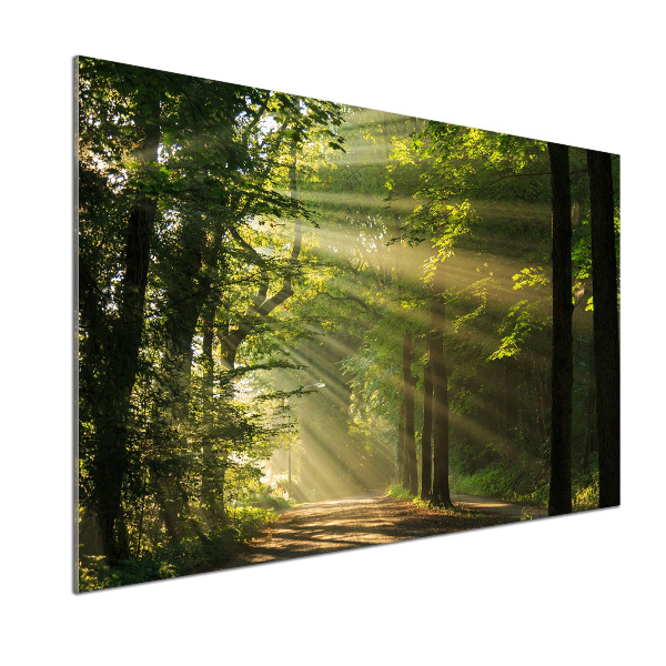 Pannello paraschizzi cucina con stampa 