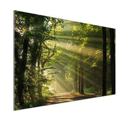 Pannello paraschizzi cucina con stampa 