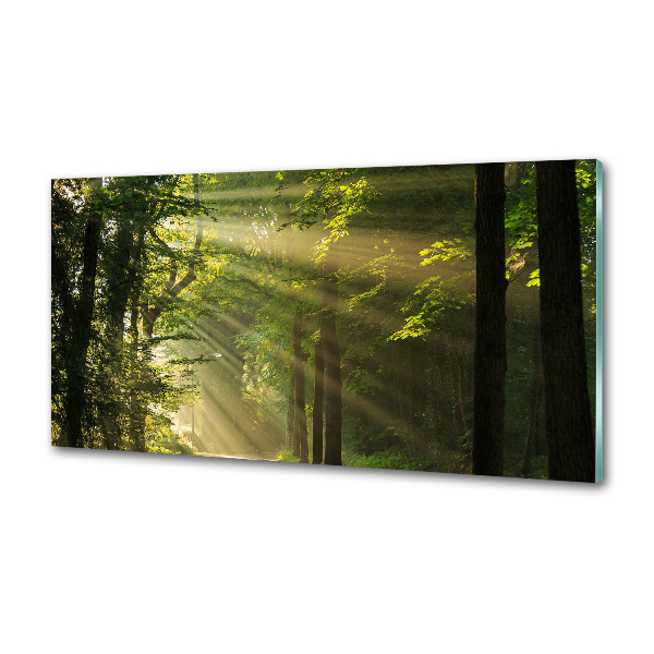 Pannello paraschizzi cucina con stampa 