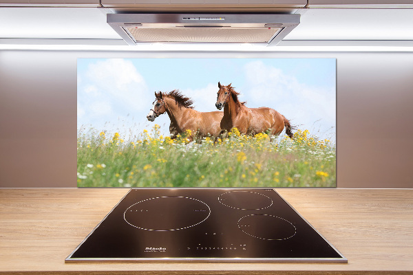 Rivestimento parete cucina con decorazione raffigurante due cavalli al galoppo